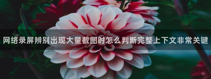 911吃瓜事件网站