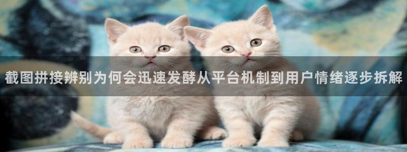 911吃瓜热门内容
