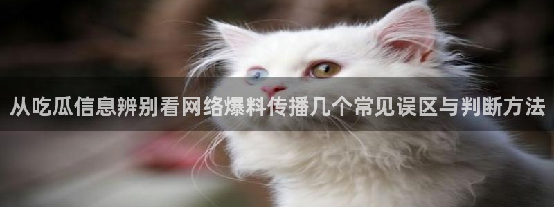 911吃瓜最新动态