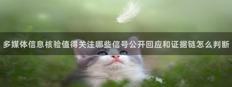 网络吃瓜事件