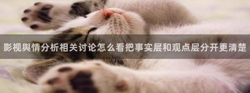 网络热点资讯